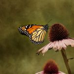 亚洲精品自拍学生 3v84u