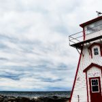 快穿之娇花难养完结txt网盘 evd63fe