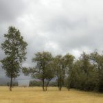 深夜A级毛片催精视频免费 ihn5acz58r