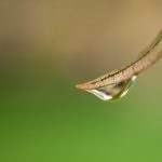 国偷自产第三页 k51t1